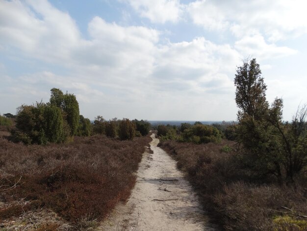 Foto grondweg die door het landschap loopt