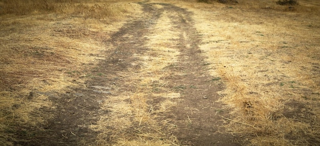 Grondweg in de natuur Armenië Herfst