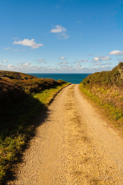 Foto grondweg langs het landschap