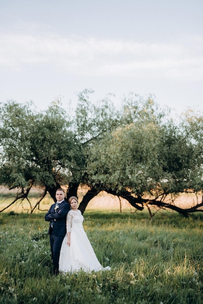 The groom and the bride are walking in the forest near a narrow river on a bright day