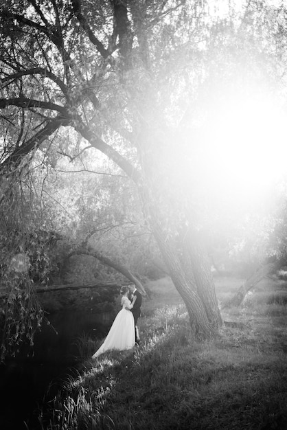 The groom and the bride are walking in the forest near a narrow river on a bright day