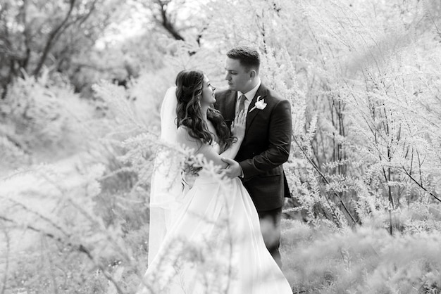 The groom and the bride are walking in the forest