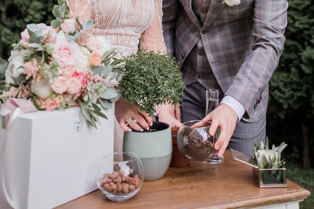 The groom and bride plant a tree at the ceremony