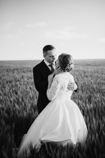 The groom and the bride walk along the wheat green field on a bright day