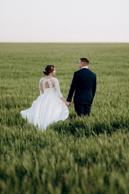 The groom and the bride walk along the wheat green field on a bright day