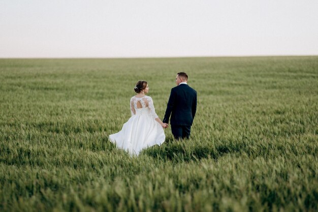 The groom and the bride walk along the wheat green field on a bright day