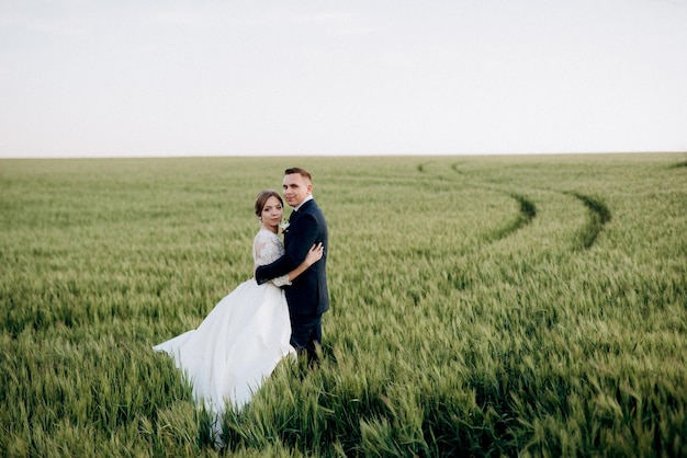 The groom and the bride walk along the wheat green field on a bright day