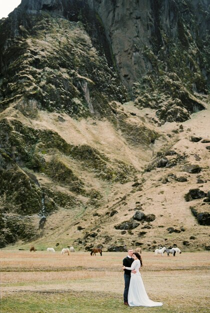 写真 花婿は花嫁を抱きしめ ⁇ アイスランド山の近くで放牧している馬の背景に