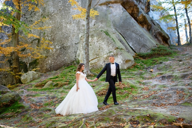 The groom leads the bride by the hand on a rock background.