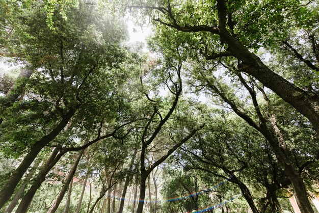 The groom in a suit and the bride in a wedding dress are walking in the park