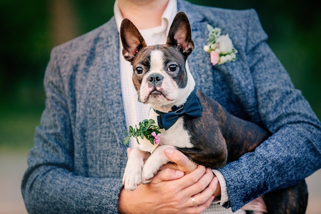 彼の犬とグルーミングします。ペットに優しい結婚式。