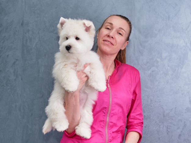 Grooming a West Highland White Terrier dog at a beauty salon in the hands of a groomer.