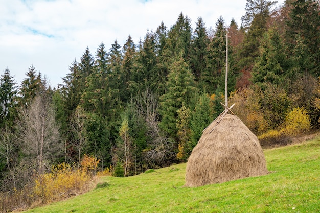 Groot aantal hooibergen met droog hooi in een groene weide met nat en vers gras bij bewolkt grijs weer