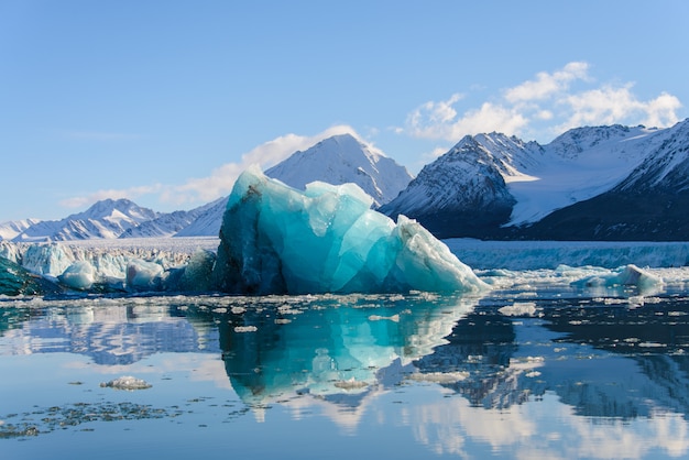 Groot blauw stuk ijs in de Arctische zee