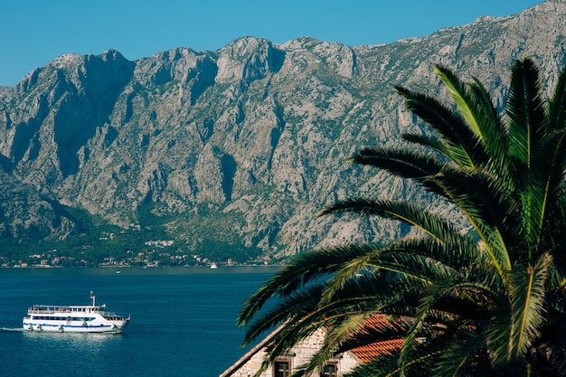 Groot cruiseschip in de baai van kotor in montenegro