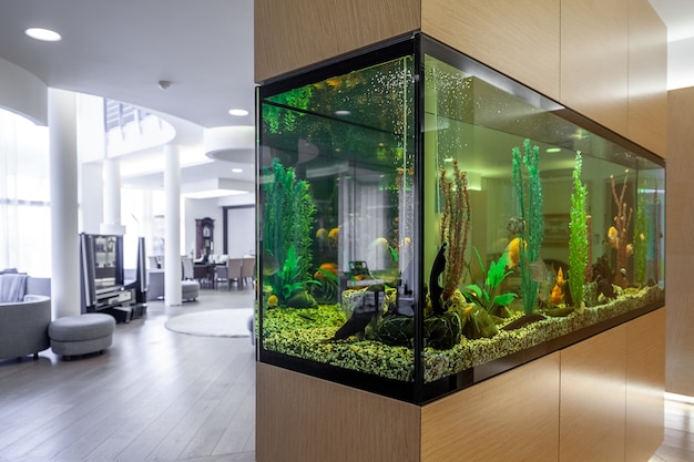 Groot ingebouwd aquarium met vissen en planten in stijlvolle woonkamer