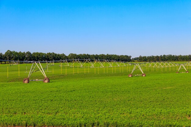 Groot irrigatiesysteem voor landbouw in een veld