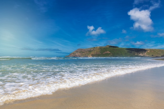 Groot leeg allans-strand dichtbij dunedin, nieuw zeeland