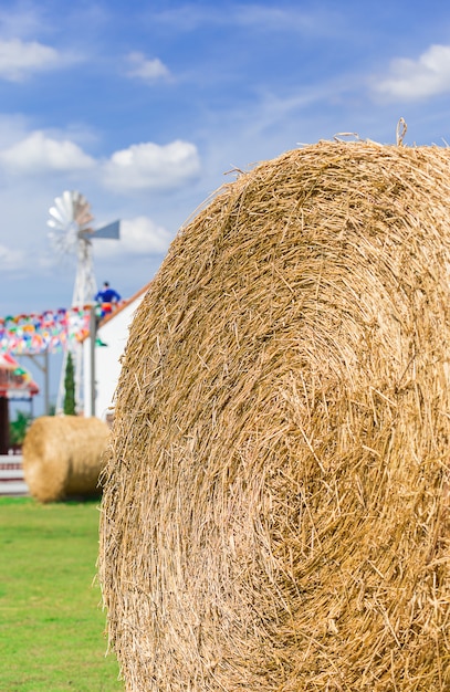 Groot strobroodje in boerderij