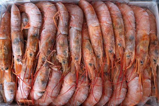 Grote bevroren langoustines in een pakket. seafood.