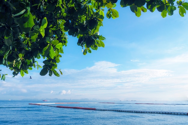 Grote bomen met groene bladeren door de zee