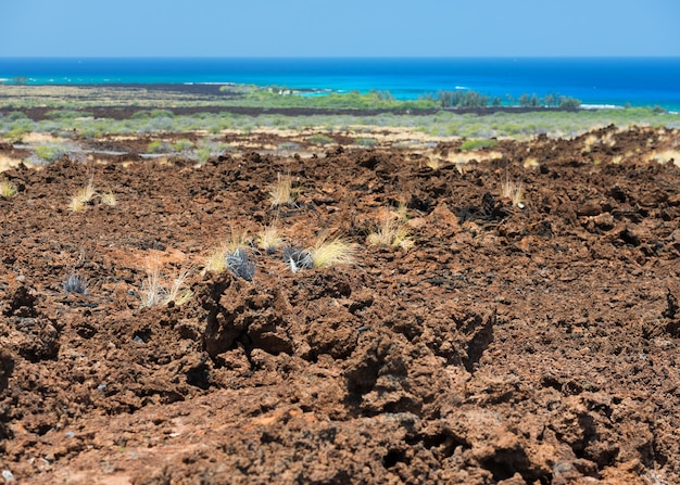 Grote eiland Hawaï lava en zee