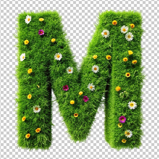 Grote en kleine letters in gras
