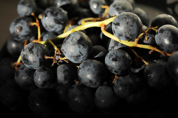 Grote en verse zwarte druiven