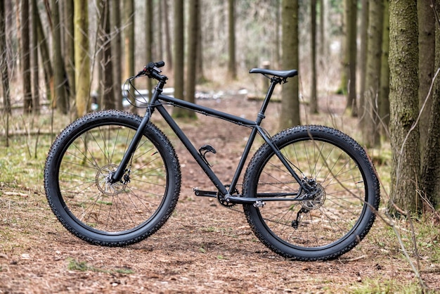Grote fiets in het bos