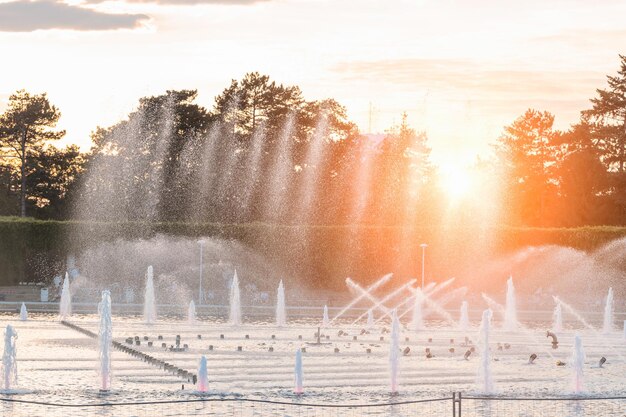 Grote fontein bij zonsondergang in de zomer