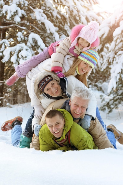 Grote gelukkige familie die plezier heeft in het winterpark bedekt met sneeuw