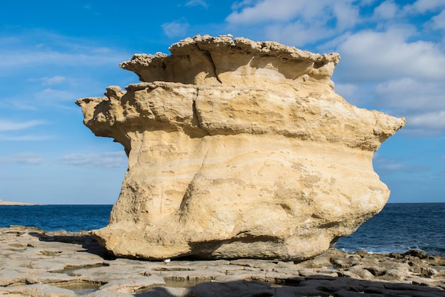 Grote globigerina-kalksteen op wavecut-platform langs de kust van Delimara Malta met erosie