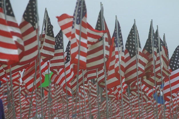 Grote groep Amerikaanse vlaggen.