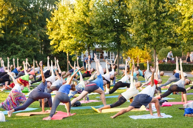 Grote groep volwassenen die een yogales in park bijwonen