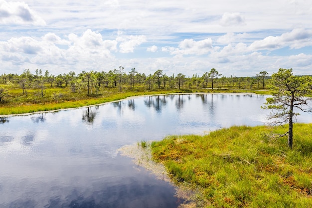 Grote Kemeri Bog-moeras in het Kemeri National Park in Letland