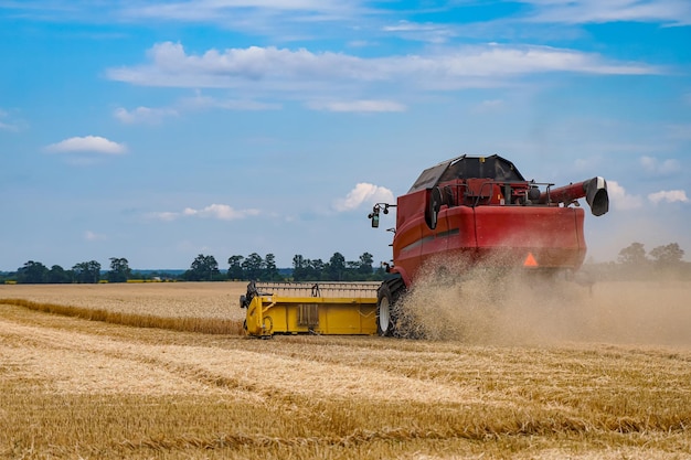 Grote landbouw landbouwmachines. Enorme rode maaidorser die in het veld werkt.