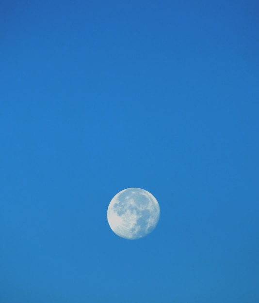 Grote maan in de blauwe lucht.