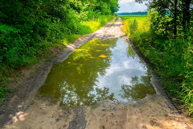 Grote modderige plas op de bosweg Regenachtig weer