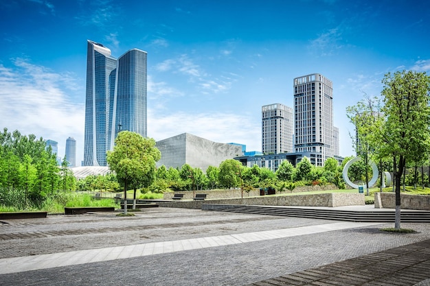 Grote moderne stad en park