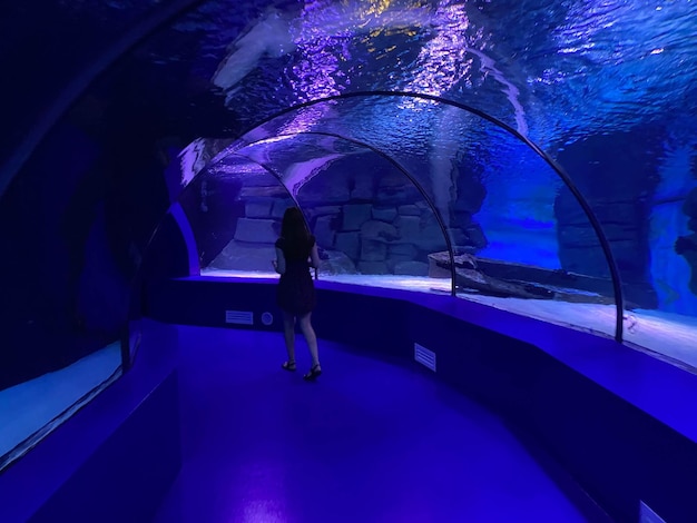 Grote mooie ronde glazen tunnel onder water in het aquarium met verschillende vissen Concept toerisme