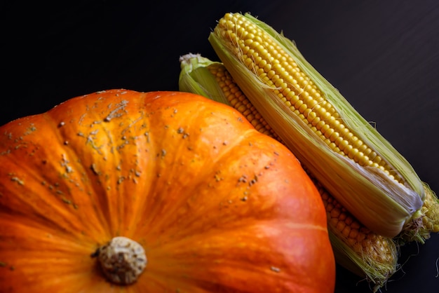 Grote oranje pompoen en maïskolven. Herfst, rauwkost concept.