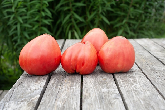 Grote rode tomaten met een langwerpig blad op een houten tafel