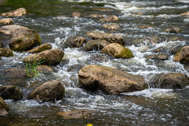 Grote rotsen met mos en korstmossen in de rivierstroom Achtergrond van snelstromend waterclose-up