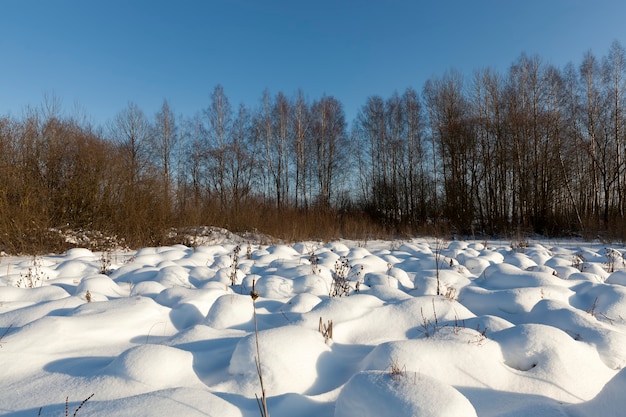 Foto grote sneeuwbanken