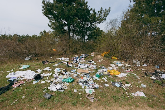 Foto grote stapel afval tussen struiken en bomen in bezaaid park of bos