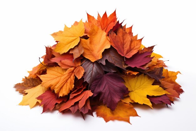 Grote stapel kleurrijke herfstbladeren geïsoleerd op een witte achtergrond