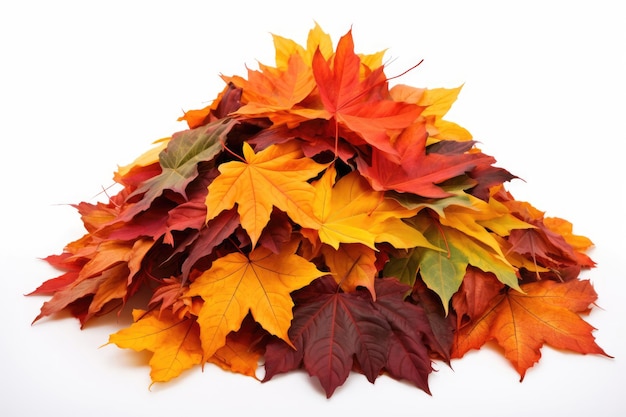 Grote stapel kleurrijke herfstbladeren geïsoleerd op een witte achtergrond
