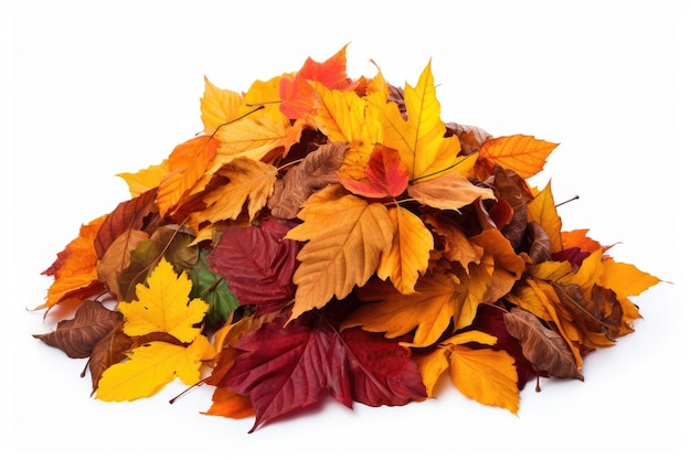 Grote stapel kleurrijke herfstbladeren geïsoleerd op een witte achtergrond