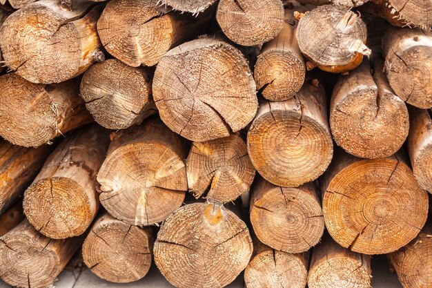 Grote stapel logs close-up achtergrond. horizontaal schot