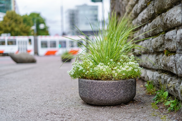 Grote stenen pot met bloemen en tram op de achtergrond in de stad.